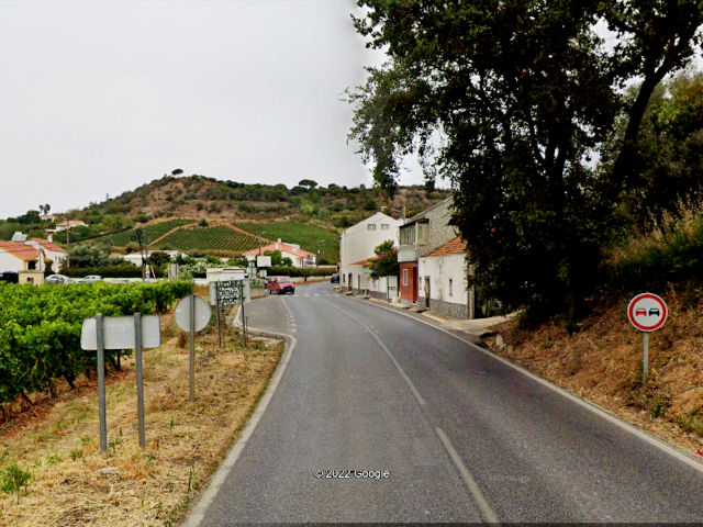 Paisagem e vinhas em Alenquer, Distrito de Lisboa, Centro de Portugal &copy; Google Earth Pro