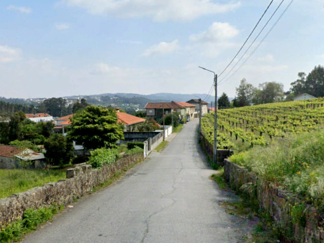 View and Vineyards in Paços de Ferreira, Sousa Valley, Porto district (Douro Litoral) &copy; Google Earth Pro